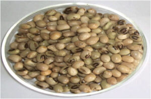 Comparison of the mineral value of African Yam Bean seeds grown from different Nigerian  geographical locations