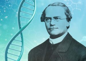 MENDEL’S WORK: THE EYE OPENER TO GENETICAL STUDY